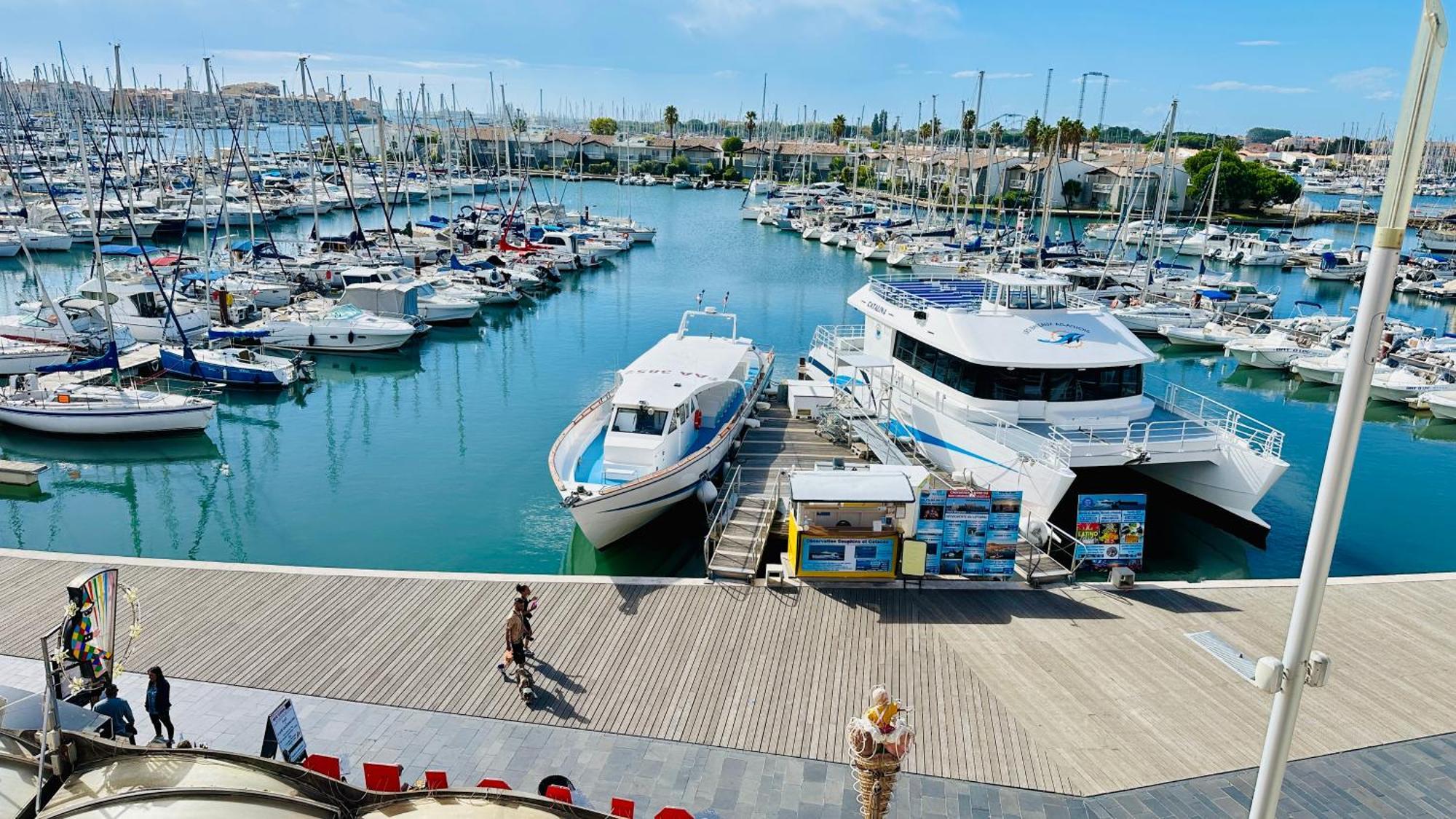 Studio Face Au Port Agde Bagian luar foto